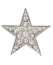 Broche Etoile des Neiges Strass - Marion Godart